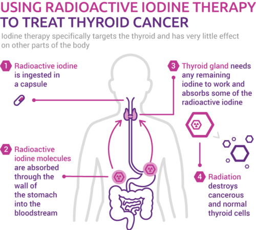what does iodine do for the human body